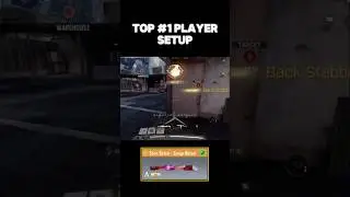 Using the TOP #1 Players Setup 🔥 #codm #shorts