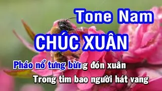 Karaoke Chúc Xuân (Đinh Trung Chính) - Tone Nam