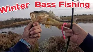 Приманки для ловли окуня в холодной воде CRUSHING Bass Reaper.