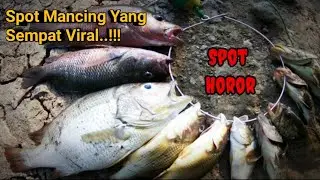 Mancing Di Spot Potensial Yang Sempat Viral Dan Terkenal Angker Di Semarang || Kali Tambak Ombo