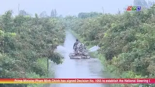 Good farmer movement triples high-income households | Cần Thơ News