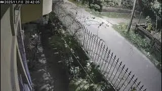 Amazing CCTV Footage of a Fox at Night | Real Wildlife Encounter | Fox on CCTV Camera Footage