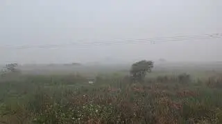 Wadhvana Bird Sanctuary video.  13 #birds #love