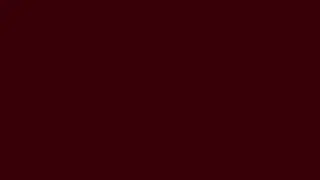 DARK BURGUNDY SCREEN (HD) - 10 HOURS