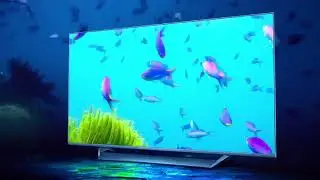 Xiaomi Mi TV Q1 75  Official Videos
