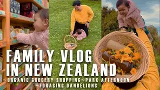 Family Vlog in New Zealand | Organic Grocery Shopping, Park Fun & Foraging