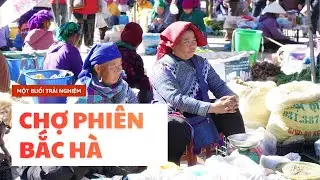 Bac Ha Fair at the End of 2025 – One of the Largest Periodic Markets in Northwest Vietnam