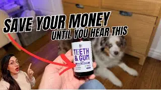 Silver Pet Dental Spray for Fresh Breath