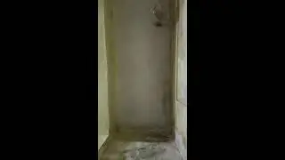 पुनीता पुनीता 07 h  लाइव है!