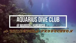 Aquarius Dive Club - Egyptian Red Sea Diving  Marriott Hurghada