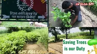 saving trees is our Duty so dont foragt this (pad lgana or bchana hmara frz h 🌳#🌲 #vlog