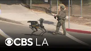 Former student arrested after alleged stabbing spree at Torrance school