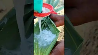 Palm Wine (Pana Kallu) ASMR #shorts