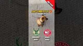 Cujo&rsquo;s NBA Fetch | Milwaukee Bucks vs Atlanta Hawks 🏀 01-19-2026 #CujoCatches
