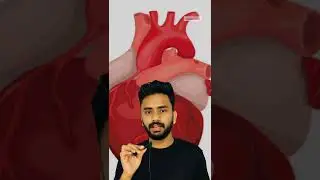 ഈ കഥ നിങ്ങളെ കരയിപ്പിക്കും 😔|true sad story will make you cry|af world|#shorts#trending