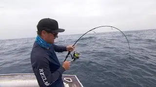 IFISH PROMO - Season 15 Episode 4