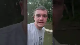 Can i catch a fish on chicken liver?