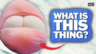 The Baby Bum &mdash; Удар мозга