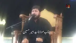 Video 3, Masaib ,25 Muharam, Molana Syed Amir Hussain,Sadat Imambargah, Sherkot, 2021
