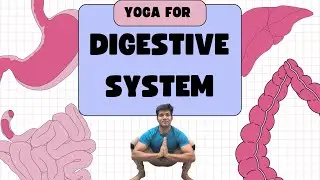 3 Asana to improve your digestive power.