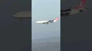 Landing next to Turkish Airlines TC-JNM in the Champions League Livery  😁😍✈️
