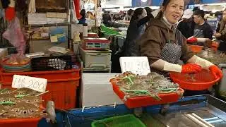 The crabs season so much crabs are sold out 竹圍漁港 seafood fishport fishmarket
