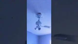 iphone ringtone with ceiling fan going crazy 🤣#ceilingfan #shorts #crazy #ringtone