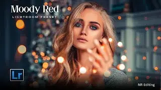 Moody Lightroom Preset | How to edit photos in adobe Lightroom | signature tone | NR Editing