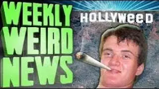 ETC Archive: HOLLYWEED 2017 - WWN