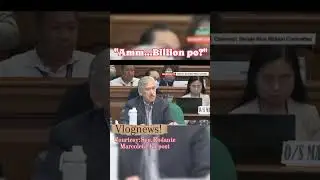 Senate Hearings in Discaya Flood Control Projects Anomalies! Vlognews✅ #trend #fypyoutube #news