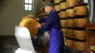 Cravero Parmigiano Reggiano - Preparing for Export
