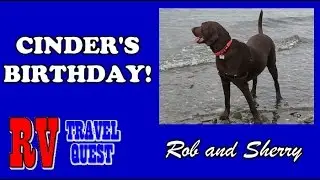 Cinder's Our RV Pets Birthday! | RV Travel Quest #rvpet