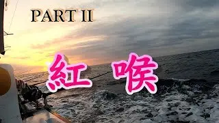 # 紅喉爆咬!(裝備&餌料解析)