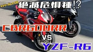 絶滅危惧種⁉︎ CBR600RR vs YZF-R6  ライバルに新型登場‼︎ その性能はどうなんだ⁉︎