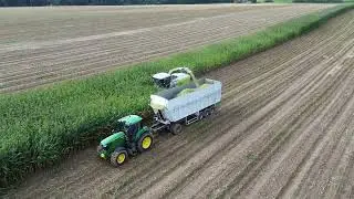 Ensilage de maïs 2024