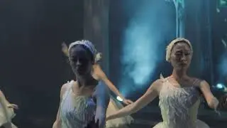 Lacul Lebedelor | Opera Comică pentru Copii