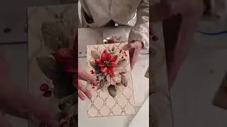 Transfer Flor de Pascua