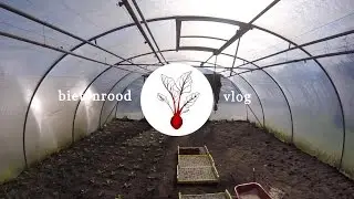 Bietenrood VLOG #10 - Raaf is onze concurrent en ik maakte sunomono