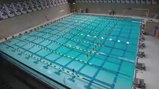 Gustavus Swim & Dive vs. UW-Stevens Point & MSU-Mankato