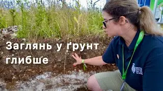 Як зрозуміти свій ґрунт? Розріз + поради від British Soil Science