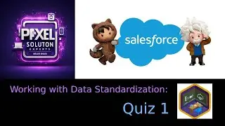 Working with Data Standardization||quiz 1||Pixel Solution Experts||2025
