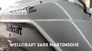 Wellcraft 2600 Martinique