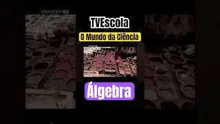 TVEscola: O Mundo da Ci&ecirc;ncia-&Aacute;lgebra #shorts #ciencia #curiosidades #series #history #tv #90s