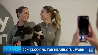 Founding Puppy Sphere: Our Journey to Make an Impact on Mental Health