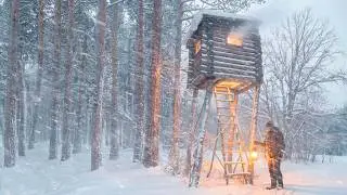 A Hidden Treehouse Becomes His Winter Shelter. ASMR