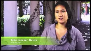 USF International Recruitment South America