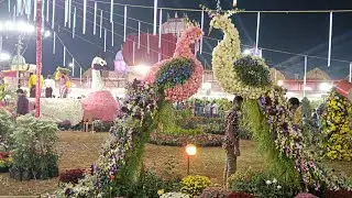Yanam Flower Show Full Video 📸🤳😲#flowershowyanam