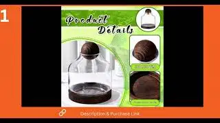 2 Pack Glass Terrarium with Wood Base & Ball Lid - Elegant Display