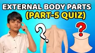 External Body Parts-5 Quiz 🤔 |Can You Guess the Body Part? 😊 |Fun Learning