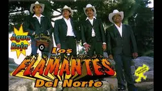 Los Flamantes Del Norte -- Agua Roja (Cassette)